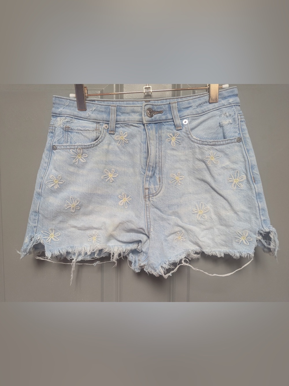 American Eagle Floral Embroidered Shorts - Size 2